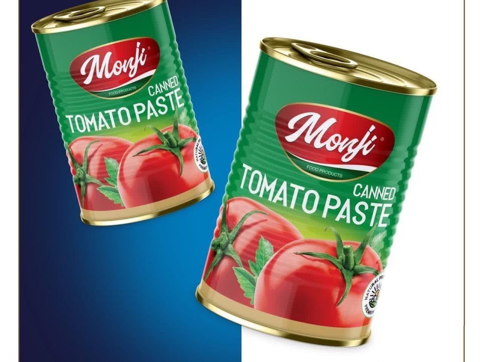 تاریخچه _ رب گوجه